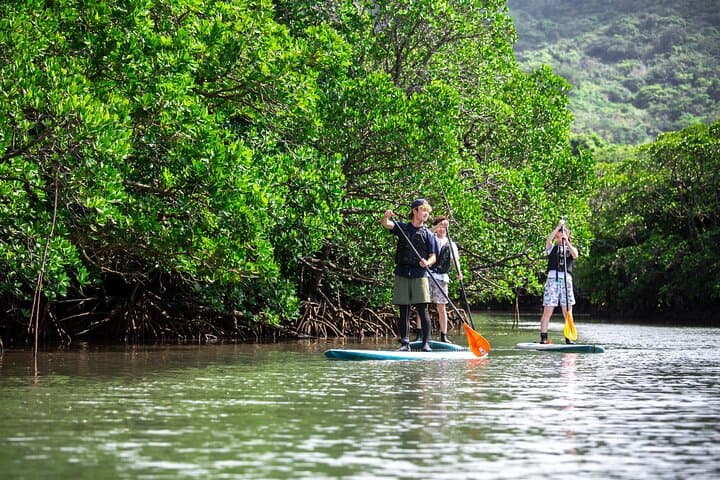 Ishigaki Mangrove SUP & Canoe Tour on Miyara River — Eco Paddle Through a National Monument photo 2