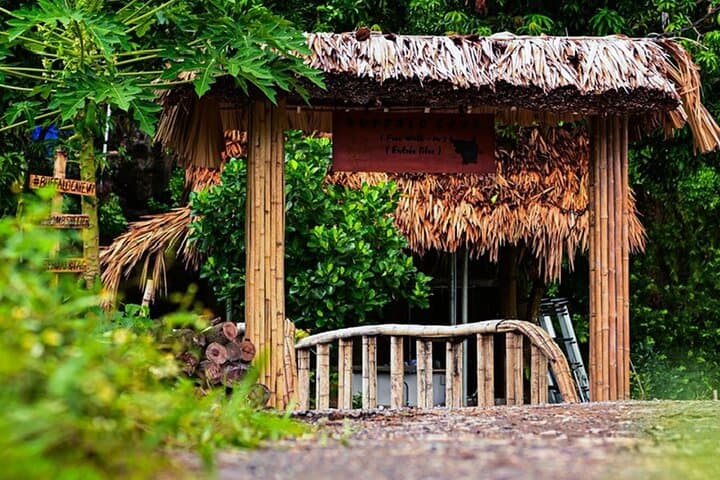 2-Day Tam Coc & Buffalo Cave Homestay: Biking, Rice-Planting & Cooking Experience photo 3