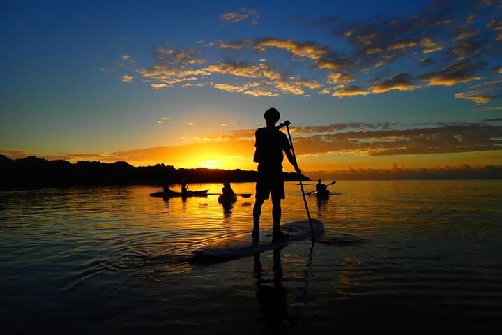 Ishigaki Sunrise SUP & Canoe: Mangrove Morning Paddle on Okinawa's Ishigaki Island