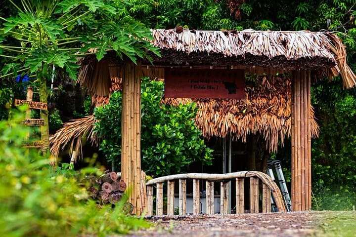 2-Day Eco Tour to Mua Cave, Trang An & Buffalo Cave from Hanoi photo 2