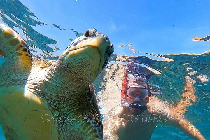Daymaniyat Islands Boat Tour — Snorkel With Dolphins & Protected Reefs from Muscat photo 4