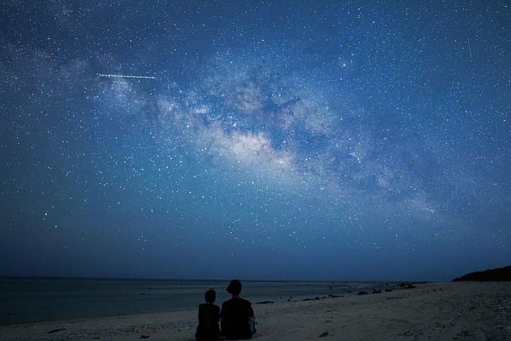 Ishigaki Night Jungle and Starry Sky Tour — Okinawa Subtropical Night Walk photo 2