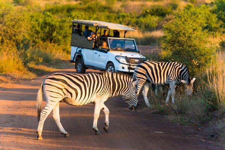 3-Hour Pilanesberg Safari: Morning or Afternoon Game Drive photo 2