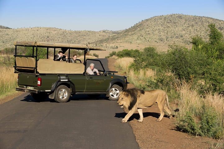 Private Full-Day Kruger Safari from Hoedspruit — Open Vehicle Big Five Experience photo 6
