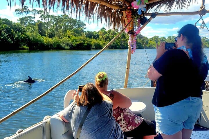 2-Hour Indian River Dolphin & Manatee Sightseeing Cruise (Melbourne/Cocoa Beach) photo 4