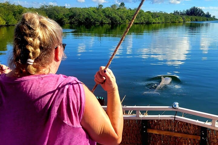 2-Hour Indian River Dolphin & Manatee Sightseeing Cruise (Melbourne/Cocoa Beach)