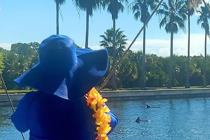Cocoa Beach Dolphin Watching: 2-Hour Sightseeing Cruise from Cape Crossing Marina photo 6