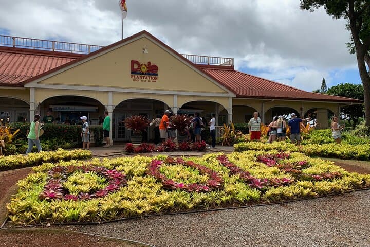 Oahu Full-Day: Pearl Harbor, Dole Pineapple Plantation & North Shore Highlights photo 5