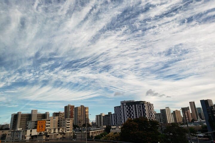 Oahu Full-Day: Pearl Harbor, Dole Pineapple Plantation & North Shore Highlights photo 6