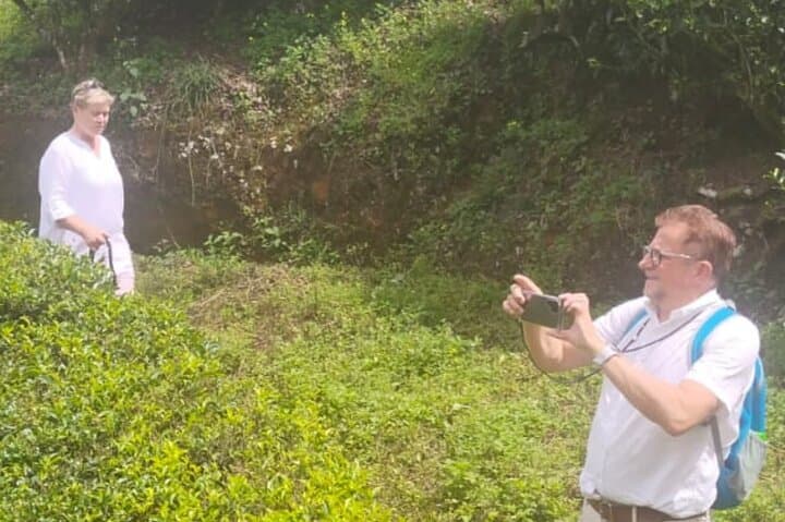 Munnar Day Tour from Kochi: Tea Gardens, Waterfalls & Mattupetty Dam