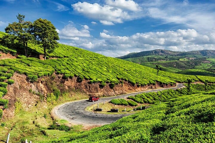 Munnar Day Tour from Kochi: Tea Gardens, Waterfalls & Mattupetty Dam photo 3