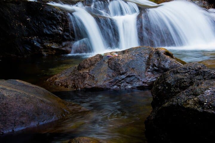 Munnar Day Tour from Kochi: Tea Gardens, Waterfalls & Mattupetty Dam photo 5