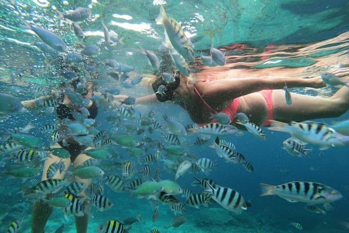 Swim with Manta Rays: Nusa Lembongan Full-Day Snorkel from Bali photo 4