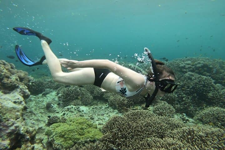 Three Islands Snorkeling with Manta Rays from Nusa Lembongan photo 4