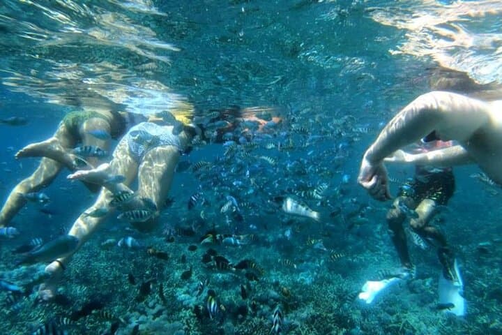 Swim with Manta Rays: Nusa Lembongan Full-Day Snorkel & Island Tour from Bali photo 5
