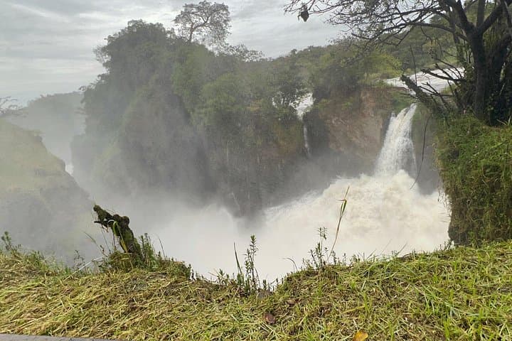 Three Days at Murchison Falls: Chimp Trekking, Rhino Tracking & Nile Boat Safari photo 3