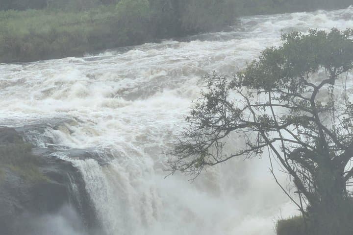 8-Day Kidepo Valley & Murchison Falls Budget Safari: Chimp Trekking, Rhino Walks & Boat Cruise photo 2