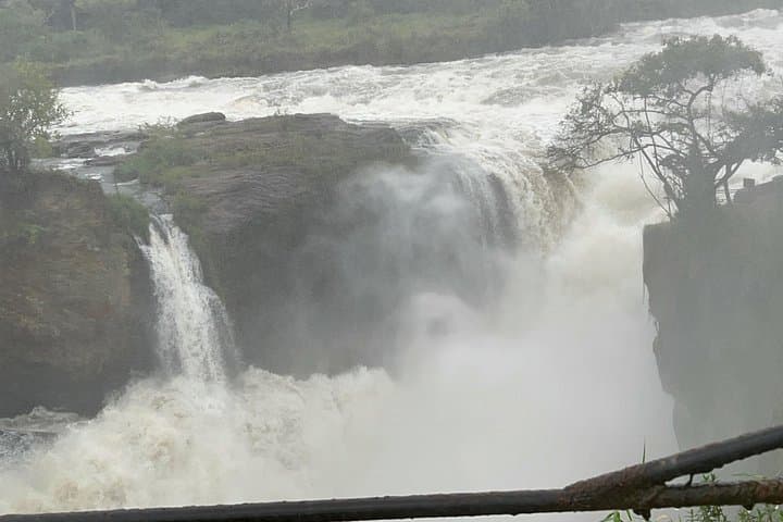 8-Day Kidepo Valley & Murchison Falls Budget Safari: Chimp Trekking, Rhino Walks & Boat Cruise photo 3