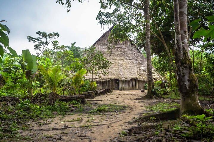 Full Jungle Experience Tour from Leticia — 3-Day Amazon Trek, Maloca & Flooded-Forest Lodge photo 3