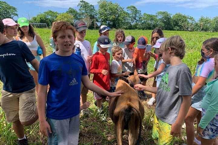 Regenerative Farm Tour at Finca Pastoreo — Dorado Eco Farming Experience