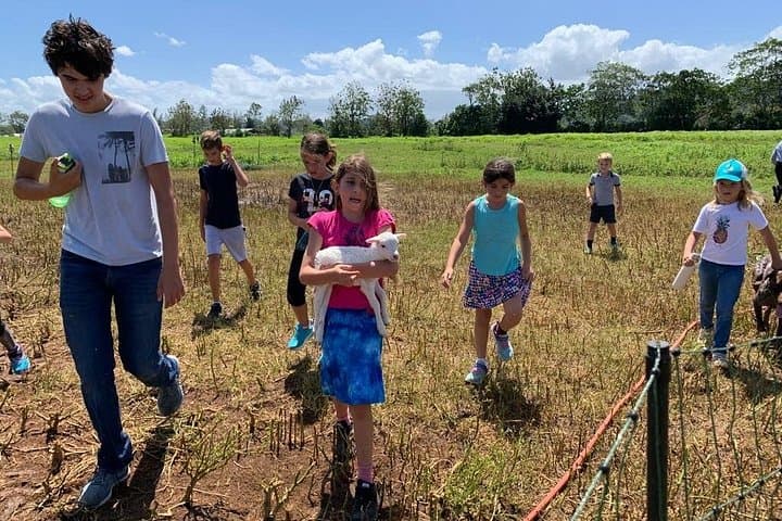 Regenerative Farm Tour at Finca Pastoreo — Dorado Eco Farming Experience photo 2