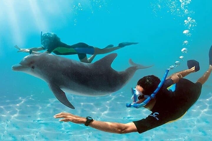 Giftun Island Snorkeling from Hurghada — Full-Day Red Sea Reef Cruise photo 4