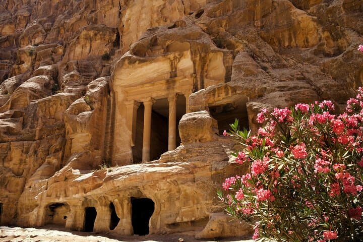 Full-Day Private Tour to Petra from Amman: Siq, Treasury & Royal Tombs photo 1
