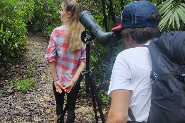 Hiking and Birdwatching in Nosara Biological Reserve — Guided 90–120 Minute Nature Walk photo 4