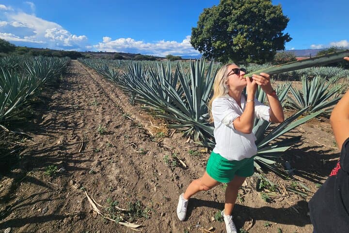 Hierve el Agua & Danzantes Mezcal Day Trip from Oaxaca — Textiles, Tasting & Lunch photo 3