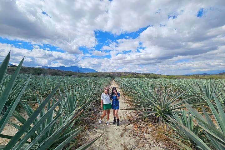 Hierve el Agua & Danzantes Mezcal Day Trip from Oaxaca — Textiles, Tasting & Lunch photo 1
