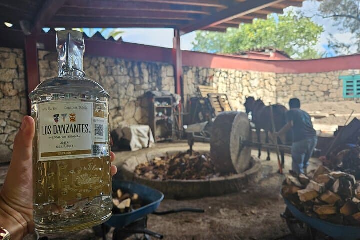 Hierve el Agua & Danzantes Mezcal Day Trip from Oaxaca — Textiles, Tasting & Lunch photo 2