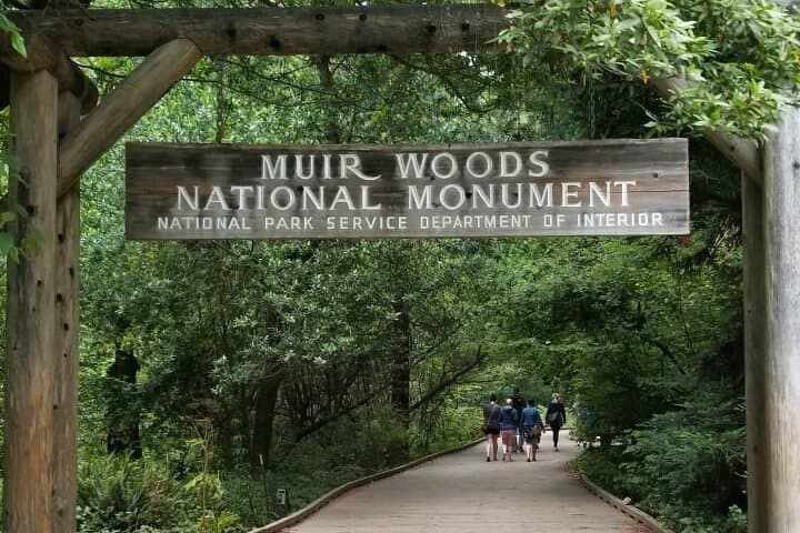 Muir Woods & Sausalito Morning Tour from San Francisco