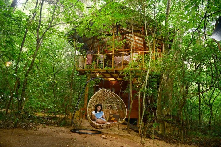 Treehouse Retreat at Pidurangala: Sunrise, Loris Night Safari & Sigiriya Views photo 1
