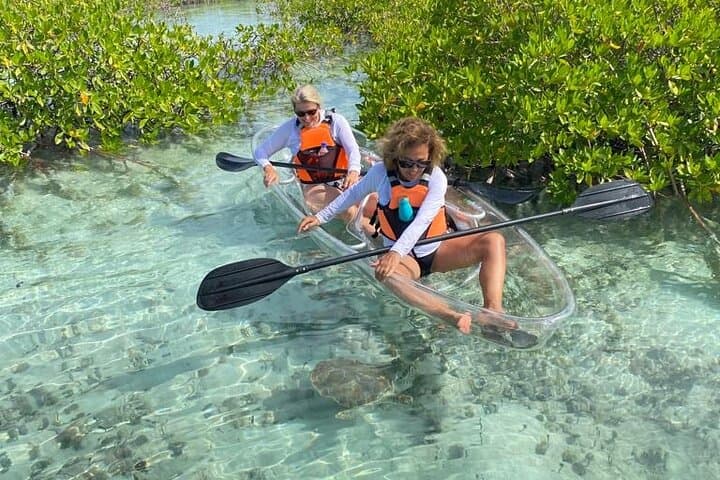 Clear Kayak Tour in Turks and Caicos — Paddle Mangrove Cay National Park photo 2