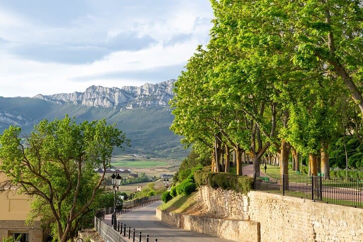 Full-Day Private Rioja Wine Tour: La Rioja Alta & Rioja Alavesa from La Rioja