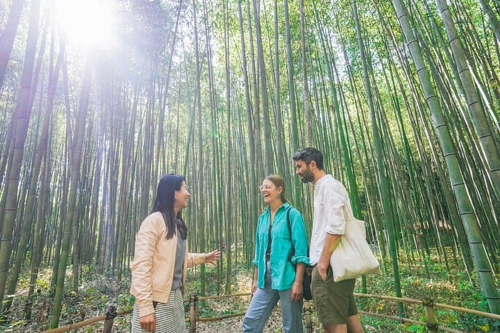 Arashiyama Bamboo Grove & Okochi Sanso: Half-Day Walking Tour Guide