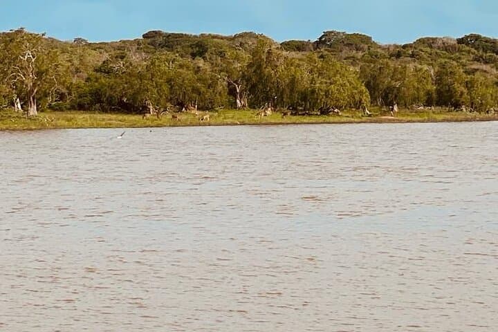 Yala Private Safari Jeep Half-Day: Leopard, Elephant & Wetland Viewing photo 5