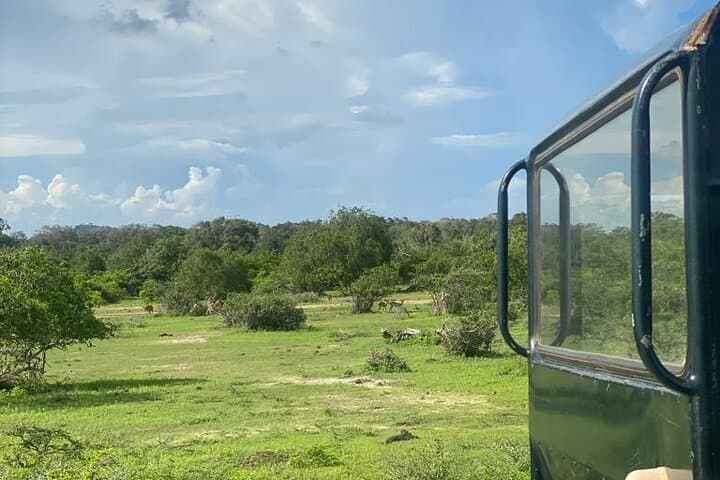 Yala Private Safari Jeep Half-Day: Leopard, Elephant & Wetland Viewing photo 6