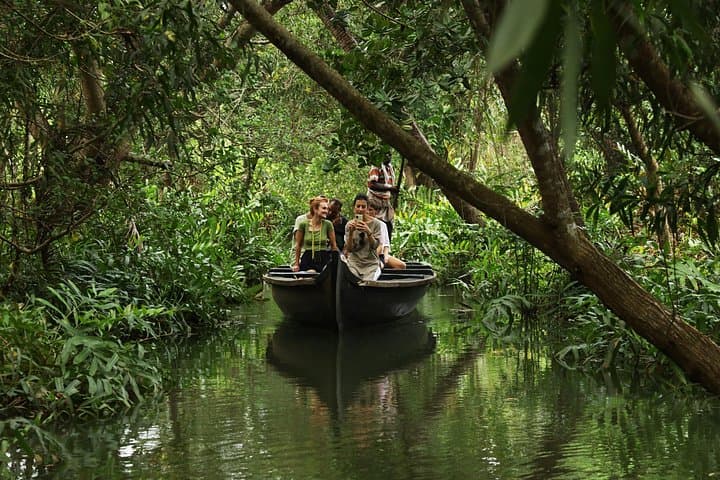 Punting Through Vaikom: Full-Day Kerala Backwater Village Boat Cruise photo 1