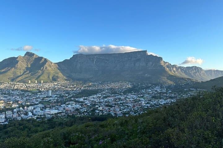 Table Mountain, Boulder's Beach & Cape Point: Full-Day Cape Town Coastal Tour photo 6