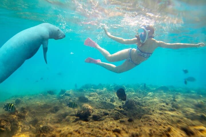 Marsa Alam Red Sea Diving Expedition — Day Trip to Elphinstone Reef photo 3