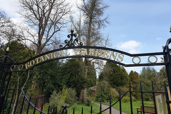 Bath Extended Walking Tour with Blue Badge Guide — 4-Hour Historic City Walk photo 3