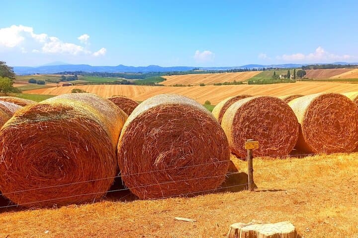 Siena to Pisa Scenic Transfer with San Gimignano & Chianti Wine Lunch photo 2