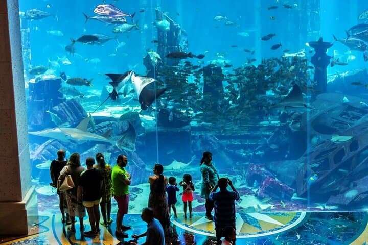 Explore Lost Chambers Aquarium at Atlantis Dubai — Ambassador Lagoon Experience photo 4