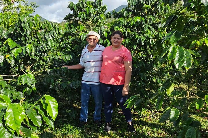 Bijagua Coffee Farm Tour: Small-Farm Café Experience Near Tenorio Volcano photo 1