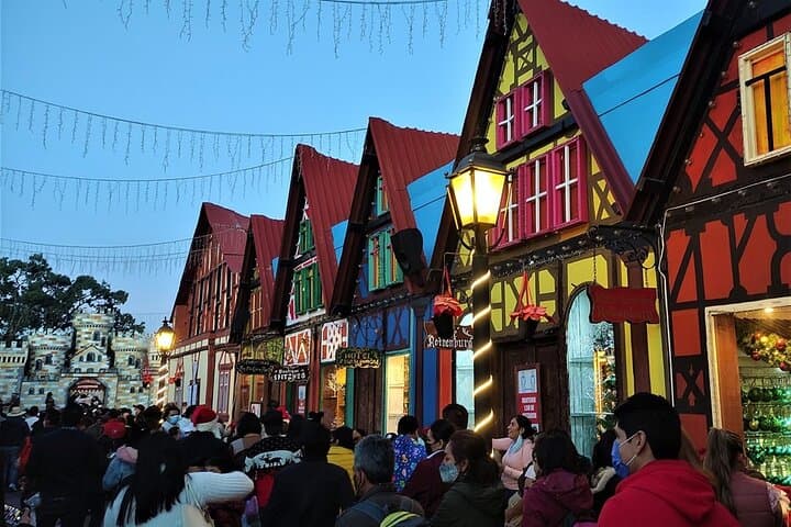 Monarch Butterfly Migration & Christmas Town Day Trip: Sierra Chincua and Tlalpujahua photo 5