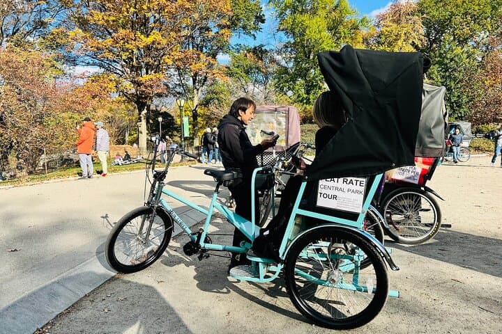 Central Park Private Pedicab Tour: 60-Min Guided Ride Through NYC's Iconic Park photo 3