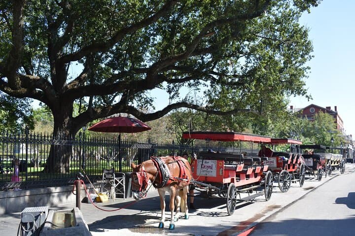 45-Minute French Quarter Highlights Tour: Fast-Paced Walk Through New Orleans' Heart photo 5