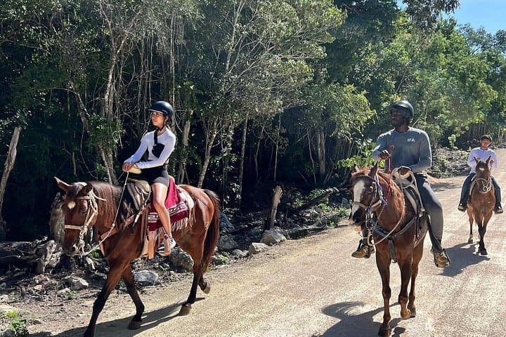 Horseback Ride to Cenote Mil Columnas: Tulum Jungle Trail & Cenote Swim photo 2
