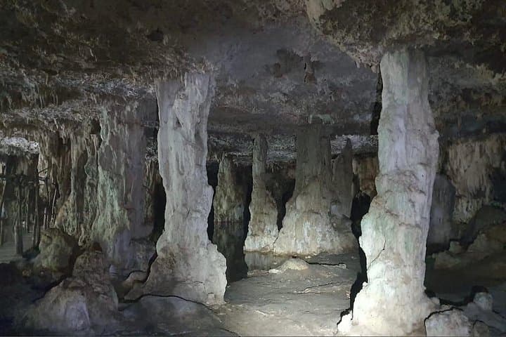 Horseback Ride to Cenote Mil Columnas: Tulum Jungle Trail & Cenote Swim photo 3